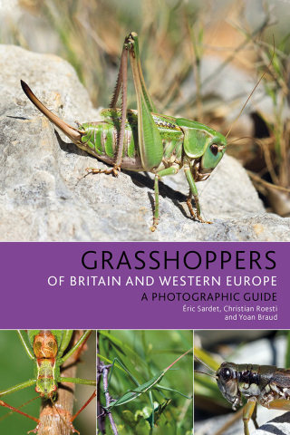 Cover image: Grasshoppers of Britain and Western Europe 1st edition 9781472954862