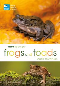 Omslagafbeelding: RSPB Spotlight Frogs and Toads 1st edition 9781472955814