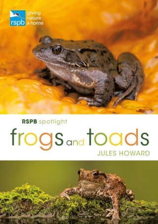 Imagen de portada: RSPB Spotlight Frogs and Toads 1st edition 9781472955814