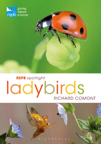 Omslagafbeelding: RSPB Spotlight Ladybirds 1st edition 9781472955852