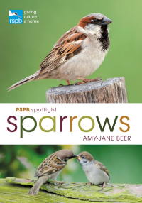 Cover image: RSPB Spotlight Sparrows 1st edition 9781472955937