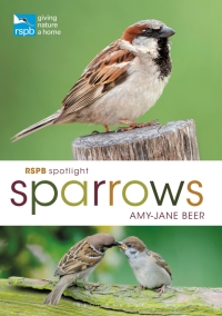 表紙画像: RSPB Spotlight Sparrows 1st edition 9781472955937