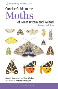 表紙画像: Concise Guide to the Moths of Great Britain and Ireland 1st edition