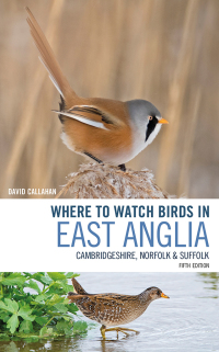 Cover image: Where to Watch Birds in East Anglia 1st edition 9781472962225