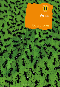 Imagen de portada: Ants 1st edition 9781472964861