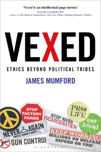 Cover image: Vexed 1st edition 9781472966346