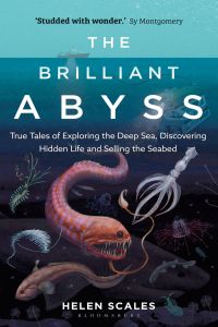 Cover image: The Brilliant Abyss 1st edition 9781472966889