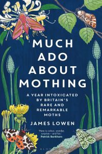 Cover image: Much Ado About Mothing 1st edition 9781472966971