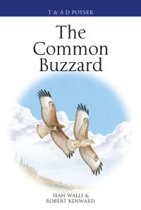Cover image: The Common Buzzard 1st edition 9781472972088
