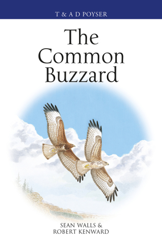 Cover image: The Common Buzzard 1st edition 9781472972088