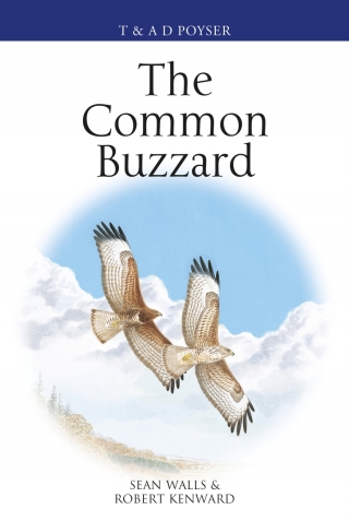 Cover image: The Common Buzzard 1st edition 9781472972088