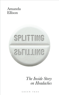 Imagen de portada: Splitting 1st edition 9781472971418
