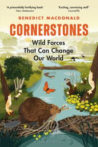 Imagen de portada: Cornerstones 1st edition 9781472971609