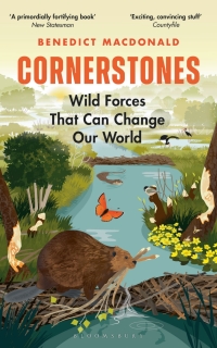 Cover image: Cornerstones 1st edition 9781472971609