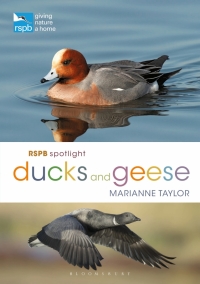 Cover image: RSPB Spotlight Ducks and Geese 1st edition 9781472971647