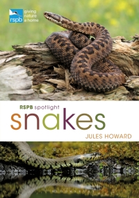 Omslagafbeelding: RSPB Spotlight Snakes 1st edition 9781472971692