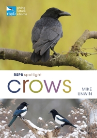 Cover image: RSPB Spotlight Crows 1st edition 9781472971777