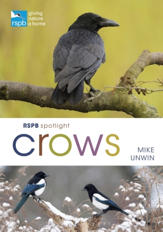 Titelbild: RSPB Spotlight Crows 1st edition 9781472971777