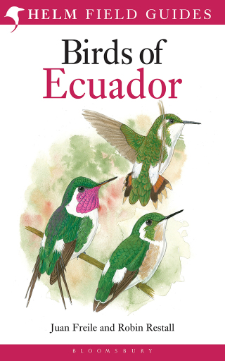 Imagen de portada: Field Guide to the Birds of Ecuador 1st edition 9781408105337