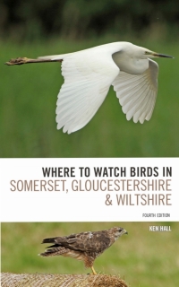 صورة الغلاف: Where To Watch Birds in Somerset, Gloucestershire and Wiltshire 1st edition 9781472912381