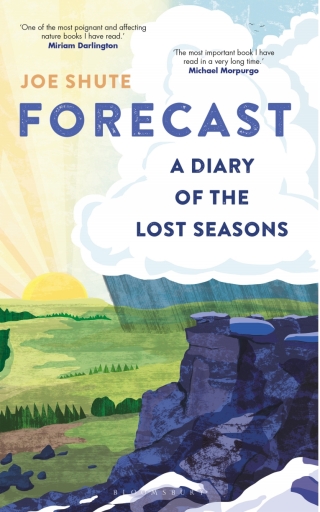 Cover image: Forecast 1st edition 9781472976741