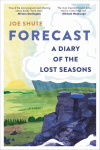 Cover image: Forecast 1st edition 9781472976741