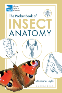Cover image: The Pocket Book of Insect Anatomy 1st edition 9781472976871