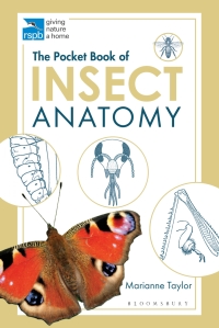 صورة الغلاف: The Pocket Book of Insect Anatomy 1st edition 9781472976871