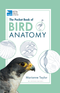 Cover image: The Pocket Book of Bird Anatomy 1st edition 9781472976925