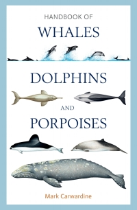 Cover image: Handbook of Whales, Dolphins and Porpoises 1st edition 9781472908148
