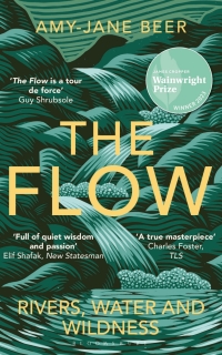 Titelbild: The Flow 1st edition 9781472977397