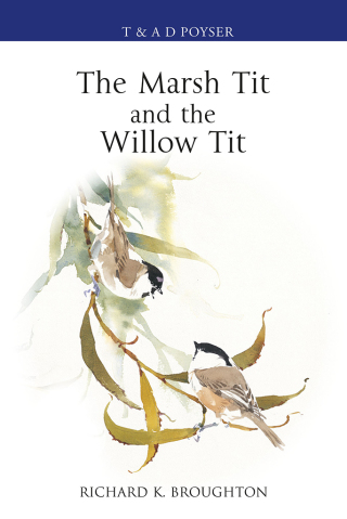 Cover image: The Marsh Tit and The Willow Tit 1st edition 9781472980328
