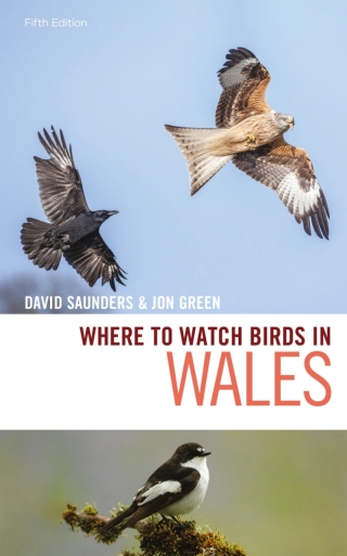 Immagine di copertina: Where to Watch Birds in Wales 1st edition 9781472979513
