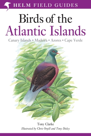 Cover image: Field Guide to the Birds of the Atlantic Islands 1st edition 9780713660234