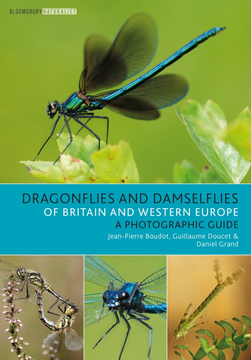Dragonflies and Damselflies of Britain and Western Europe A Photographic Guide 1st Edition