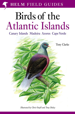 Cover image: Field Guide to the Birds of the Atlantic Islands 1st edition 9780713660234