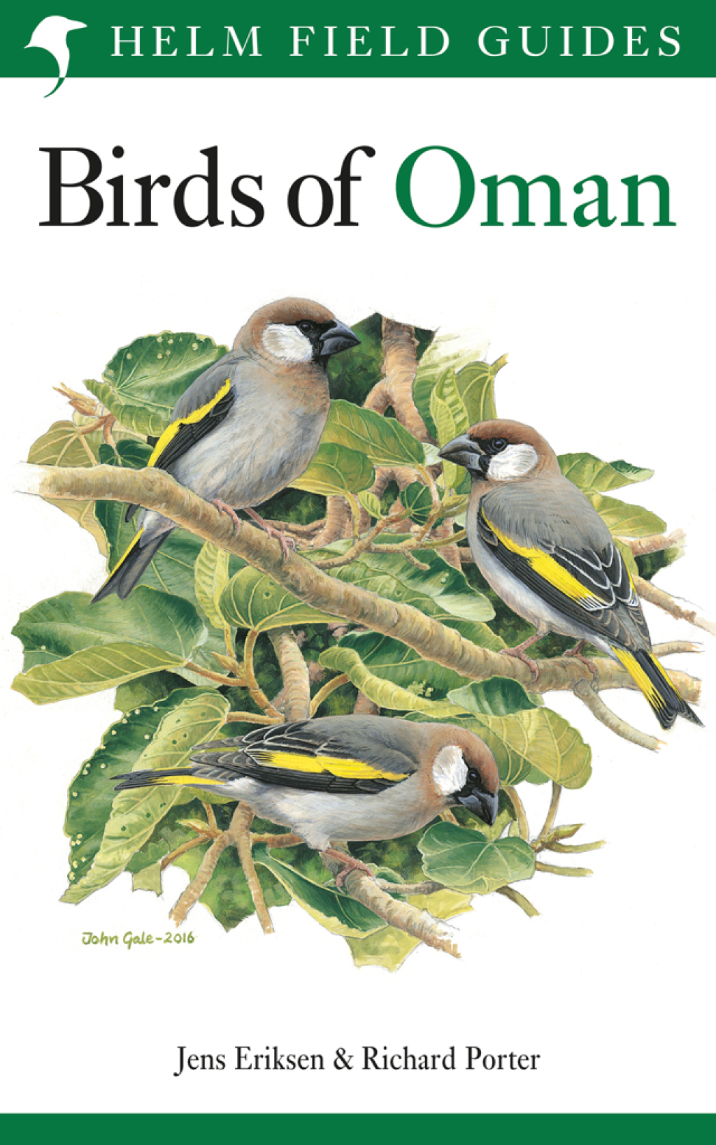 Birds of Oman 1st Edition