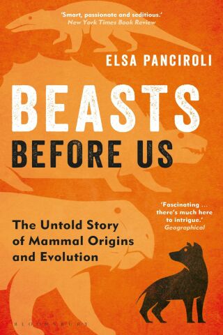 Cover image: Beasts Before Us 1st edition 9781472983824