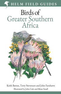 Imagen de portada: Field Guide to Birds of Greater Southern Africa 1st edition 9781472912374