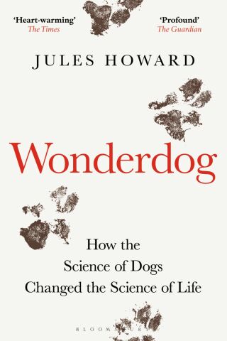 Imagen de portada: WONDERDOG 1st edition 9781472984265