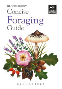 Omslagafbeelding: Concise Foraging Guide 1st edition 9781472984746