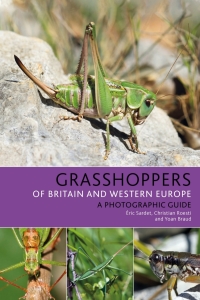Titelbild: Grasshoppers of Britain and Western Europe 1st edition 9781472954862