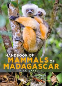 صورة الغلاف: Handbook of Mammals of Madagascar 1st edition 9781472985934