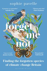 Immagine di copertina: Forget Me Not 1st edition 9781472986214