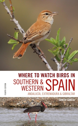 Imagen de portada: Where to Watch Birds in Southern and Western Spain 4th edition 9781472951847