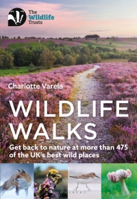 Cover image: Wildlife Walks 1st edition 9781472986863