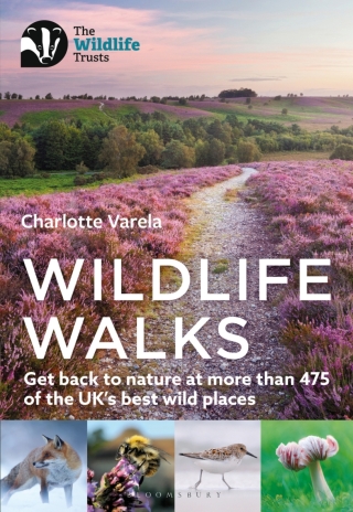 Imagen de portada: Wildlife Walks 1st edition 9781472986863
