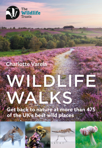 Imagen de portada: Wildlife Walks 1st edition 9781472986863