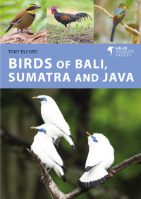 Cover image: Birds of Bali, Sumatra and Java 1st edition 9781472986870