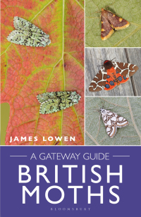 Cover image: British Moths 1st edition